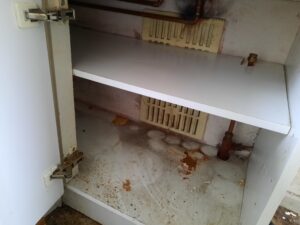 why kitchen cleaning is important